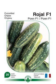 Насіння Профі. огірок "Роял F1",20нас ohirok profi_16 фото