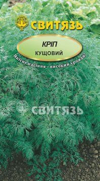 Насіння кріп "Кущовий", 30г Свитязь kripp_12 фото