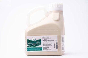 Фунгіцид Скала 3 л, Bayer 6458 фото