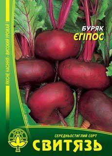 Насіння буряк стол. "Єгіпос", 10г Свитязь 5183 фото