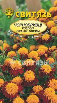 Насіння "Чорнобривці розлогі Оранж Флейм", 0,5г Свитязь kvitka_sv_19 фото