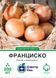 Цибуля ріпчаста Франциско F1, 200 шт, Спектр Сад 00470 фото 1