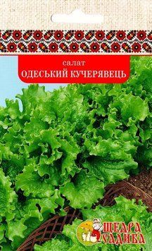 Салат Одеський кучерявець 5г, Щедра Садиба salat-11 фото
