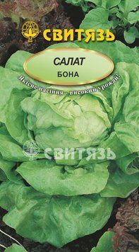 Насіння салат "Бона", 0,5г Свитязь salat_3 фото