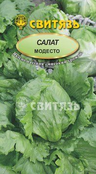 Насіння салат "Модесто", 0,5г Свитязь salat_5 фото
