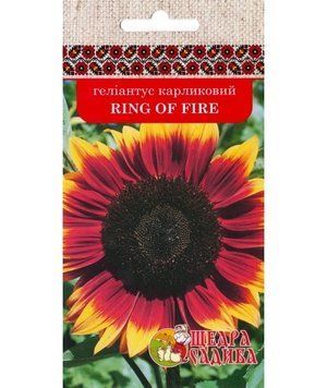 Геліантус карликовий Ring of Fire (1 г) Щедра Садиба kvitkovi kultury-10 фото