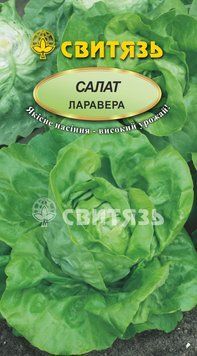 Насіння салат "Ларавера", 0,5г Свитязь salat_7 фото