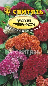 Насіння "Целозiя гребiнчаста", 0,2г Свитязь kvitka_sv_32 фото