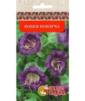Кобея повзуча (5нас.) Щедра Садиба kvitkovi kultury-15 фото