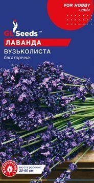 Лаванда Вузьколиста 0.1г, GL 3096 фото