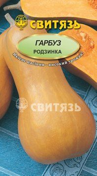 Насіння гарбуз "Родзинка", 15нас (шт.) harbuz-10 фото