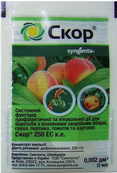 Фунгіцид Скор (Syngenta) 280 фото