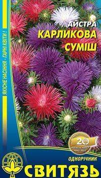 Айстра карликова голчаста суміш 0,3г Свитязь kvitka_sv_40 фото