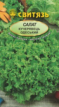 Насіння салат "Кучерявець одеський", 10г Свитязь salat_20 фото