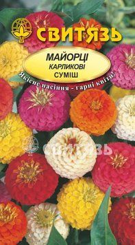 Насіння "Майорцi стрункі карликові суміш", 1г Свитязь kvitka_sv_9 фото