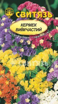 Насіння "Кермек виїмчатий", 0,1г Свитязь kvitka_sv_52 фото