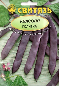 Насіння квас.спарж.витка фiол."Голубка", 15г Свитязь kvasolya_sparzheva_11 фото