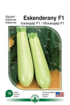 Насіння кабачок "Іскандер F1",10нас Profi Seeds kabachok profi_2 фото