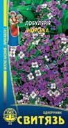 Насіння "Лобулярiя морська", 0,5г Свитязь kvitka_sv_3 фото