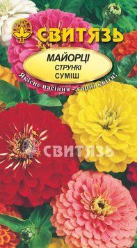 Насіння "Майорцi стрункi суміш", 1г Свитязь kvitka_sv_4 фото