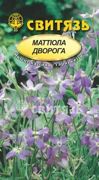 Насіння "Матiола дворога", 1г Свитязь kvitka_sv_60 фото