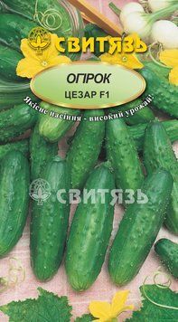 Насіння огiрок "Цезар F1", 5г ohirok_sv_45 фото