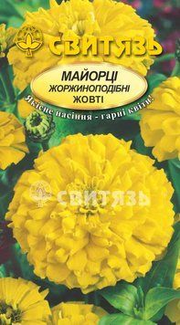 Насіння "Майорцi стрункi жоржиноподібні Жовті (ГолдДавн)", 1г Свитязь kvitka_sv_11 фото