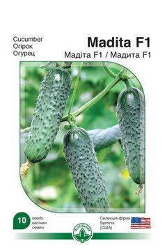 Насіння Профі. огірок "Мадіта F1",10нас ohirok profi_21 фото